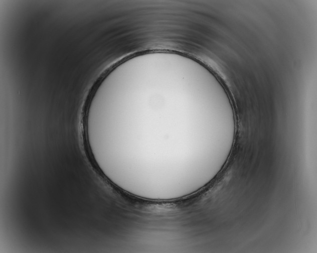 X0000089341133200707131507