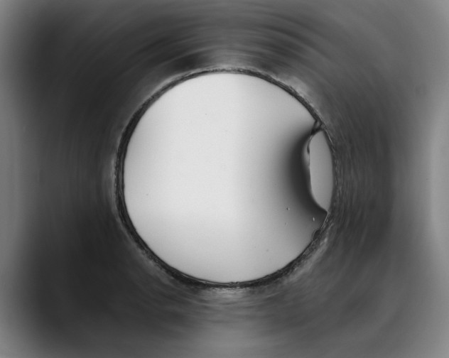 X0000089341134200707131507