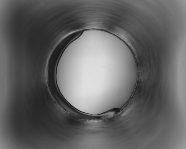 X0000089341140200707131507