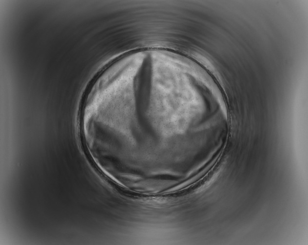 X0000089341141200707131507