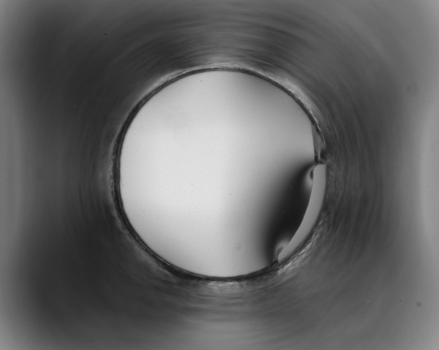 X0000089341142200707131507
