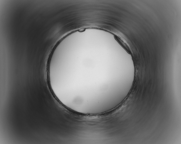 X0000089341143200707131507