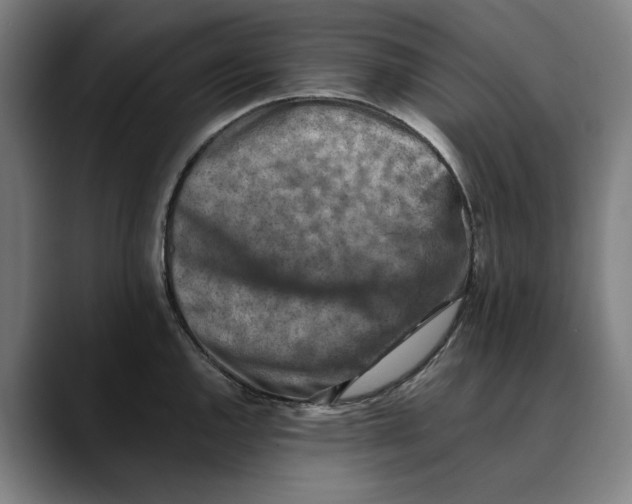 X0000089341144200707131507