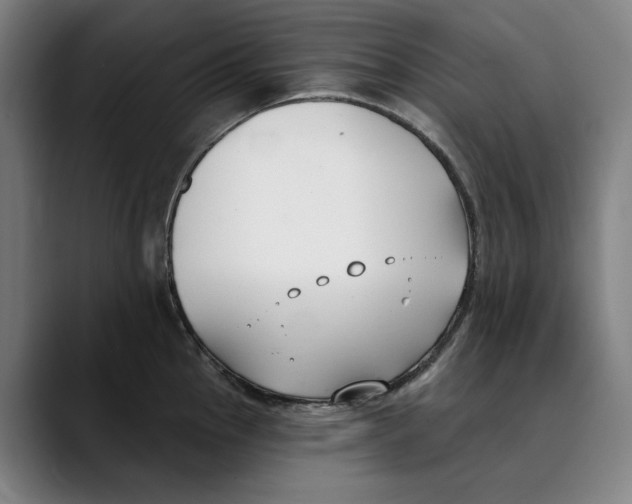 X0000089341145200707131507