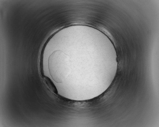 X0000089341146200707131507