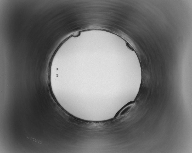 X0000089341148200707131507