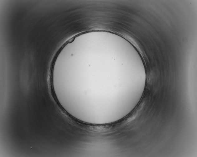 X0000089341149200707131507