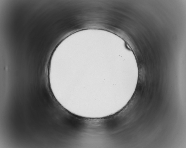X0000089341150200707131507