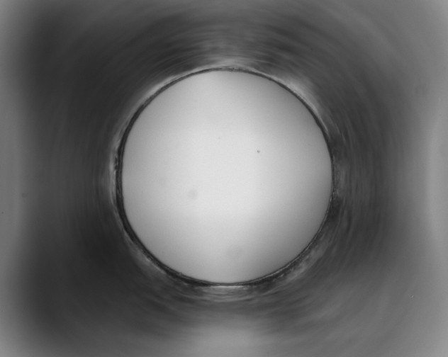 X0000089341151200707131507