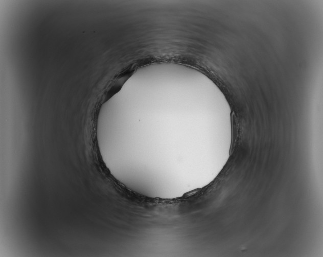 X0000089341153200707131507
