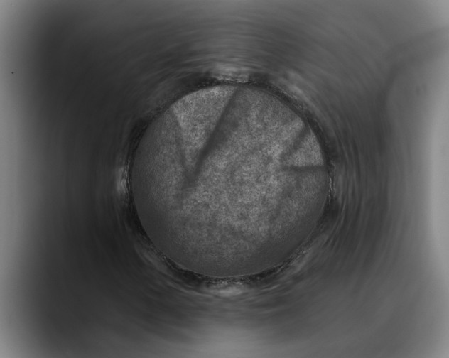 X0000089341154200707131507