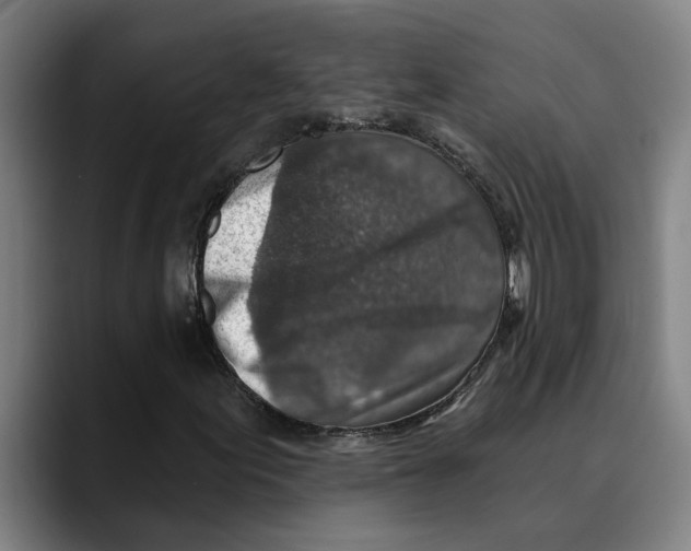 X0000089341155200707131507