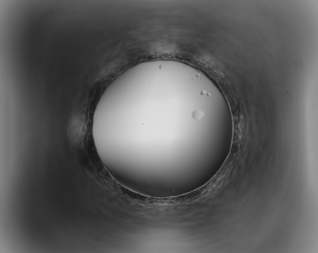 X0000089341157200707131507
