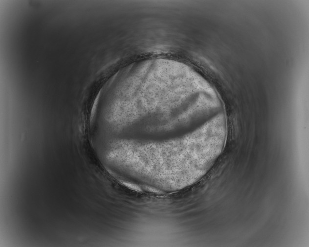 X0000089341158200707131507
