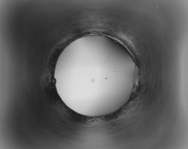 X0000089341159200707131507