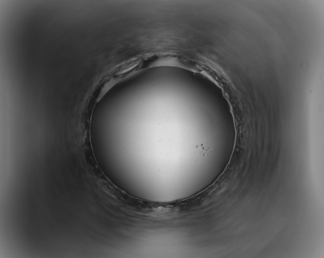 X0000089341160200707131507