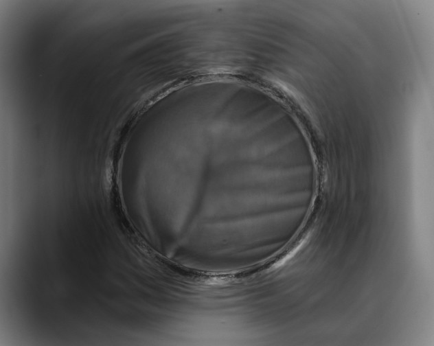 X0000089341161200707131507