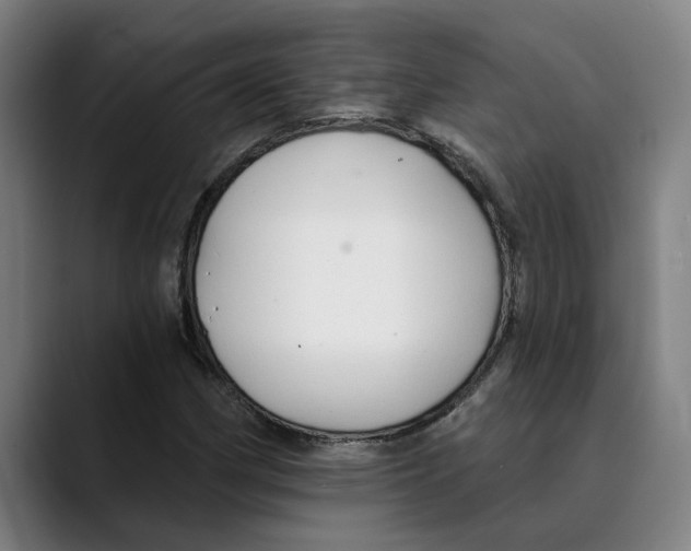 X0000089341162200707131507