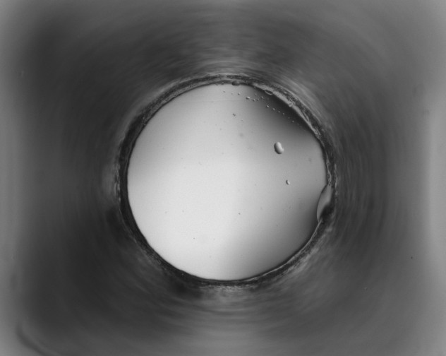 X0000089341164200707131507