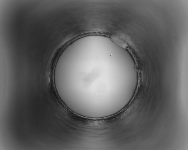 X0000089341165200707131507