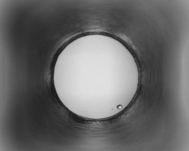 X0000089341167200707131506