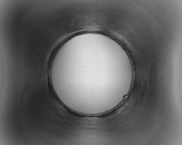 X0000089341168200707131506