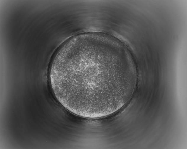 X0000089341170200707131506
