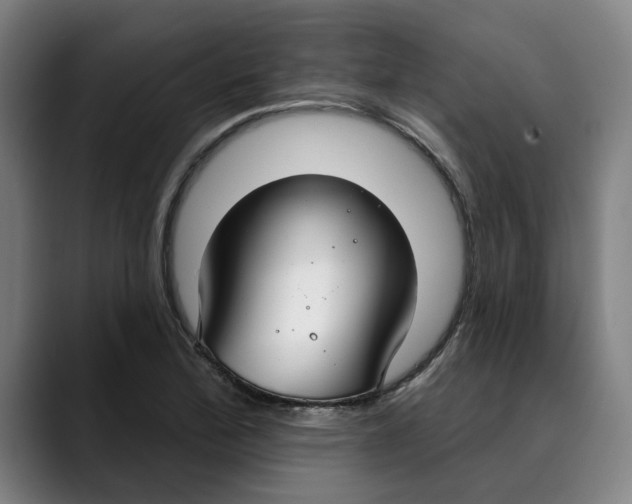 X0000089341172200707131506