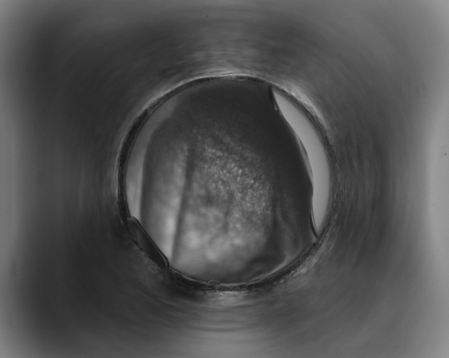 X0000089341173200707131506