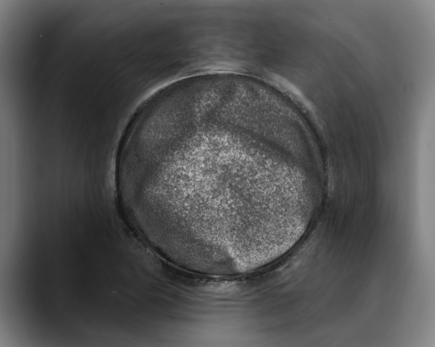 X0000089341174200707131506