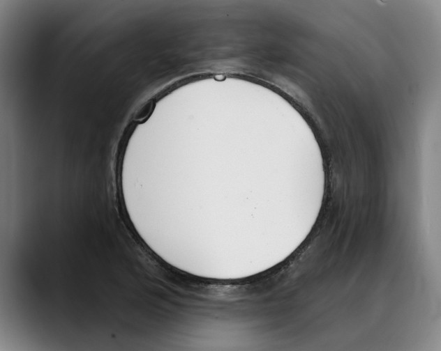 X0000089341176200707131506