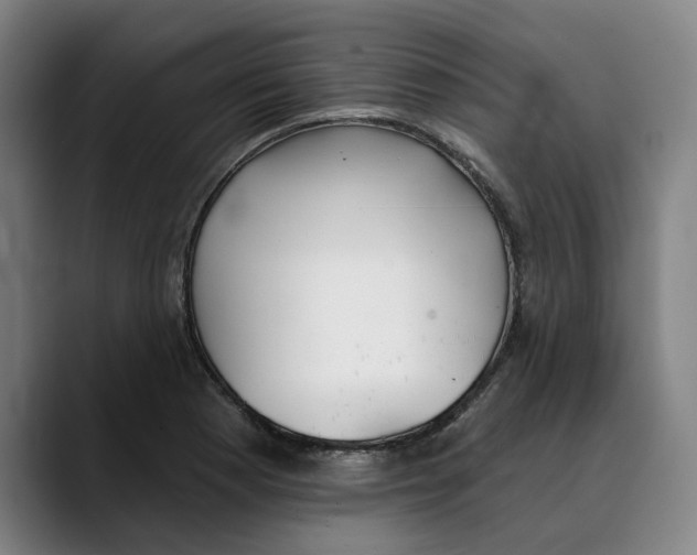 X0000089341177200707131506