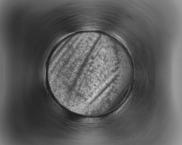 X0000089341179200707131506