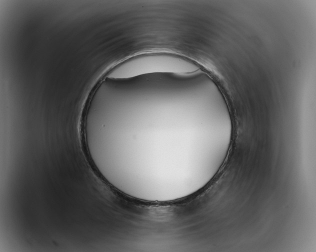 X0000089341181200707131506