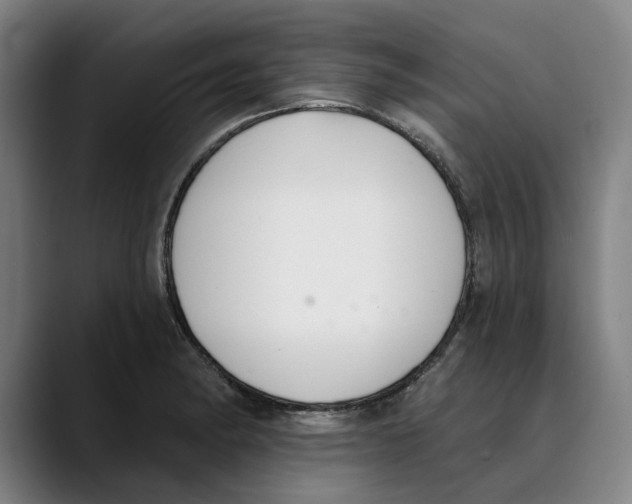 X0000089341182200707131506