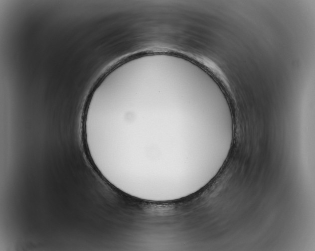 X0000089341183200707131506