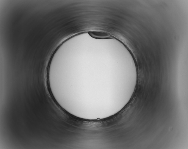 X0000089341187200707131506