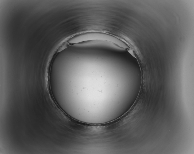 X0000089341188200707131506