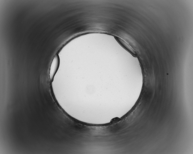 X0000089341192200707131506