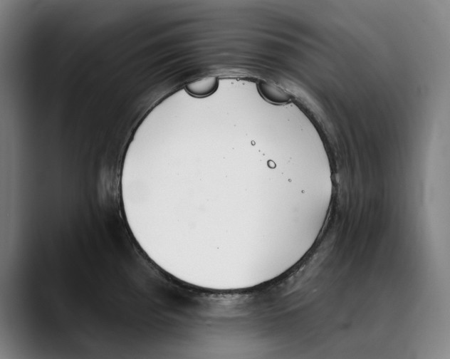 X0000089341193200707131506