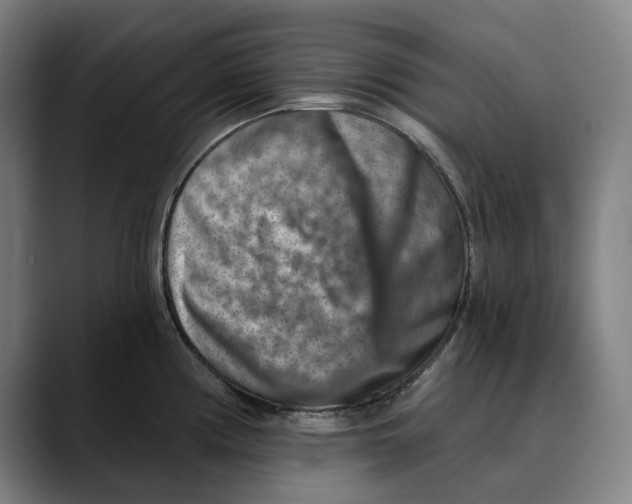 X0000089341194200707131506