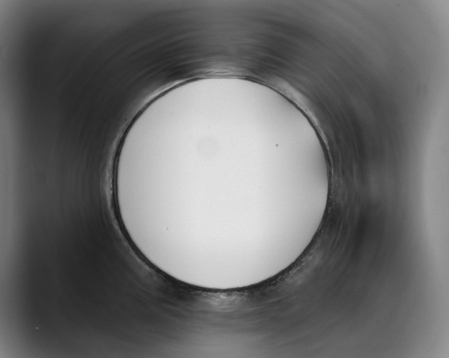 X0000089341195200707131506