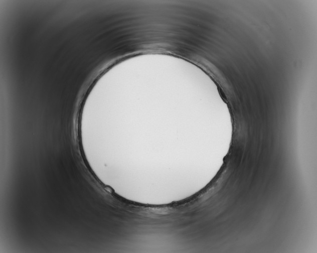 X0000089341196200707131506