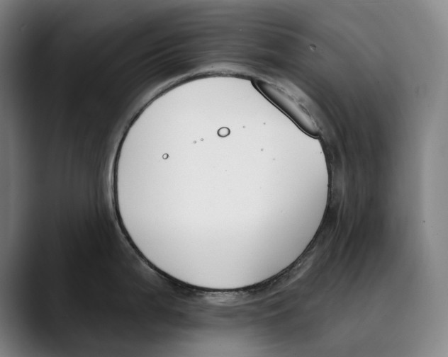 X0000089341199200707131506