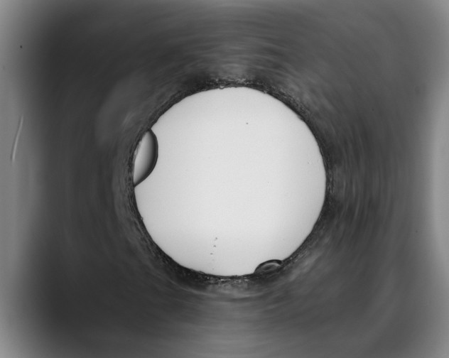 X0000089341201200707131505