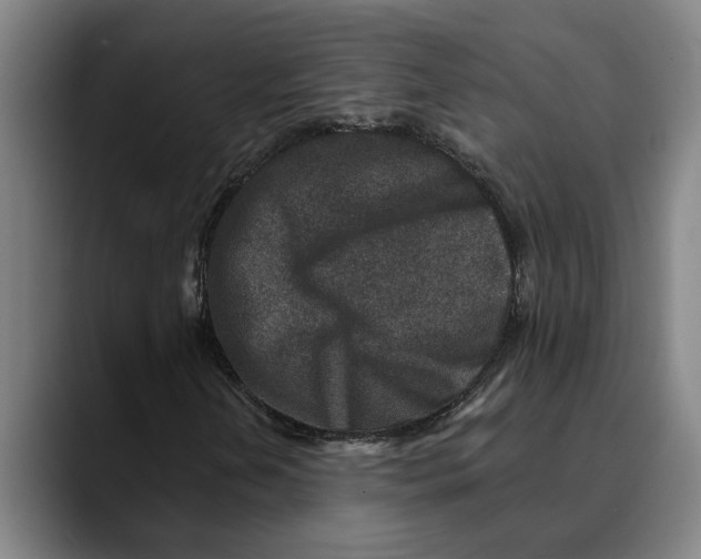 X0000089341202200707131505