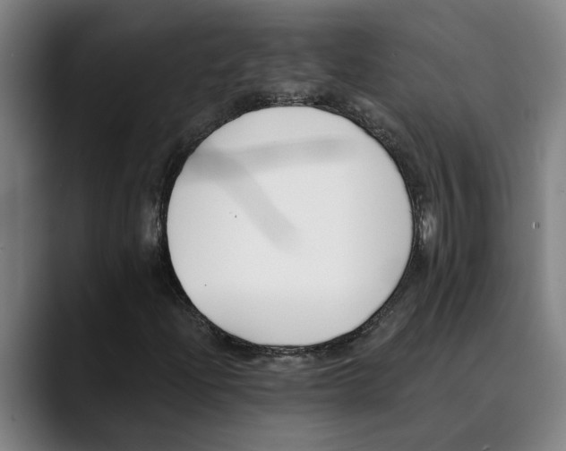 X0000089341204200707131505