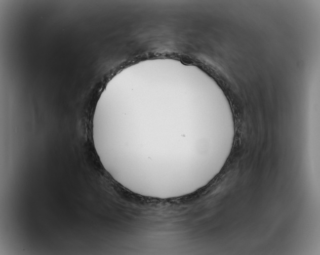 X0000089341207200707131505