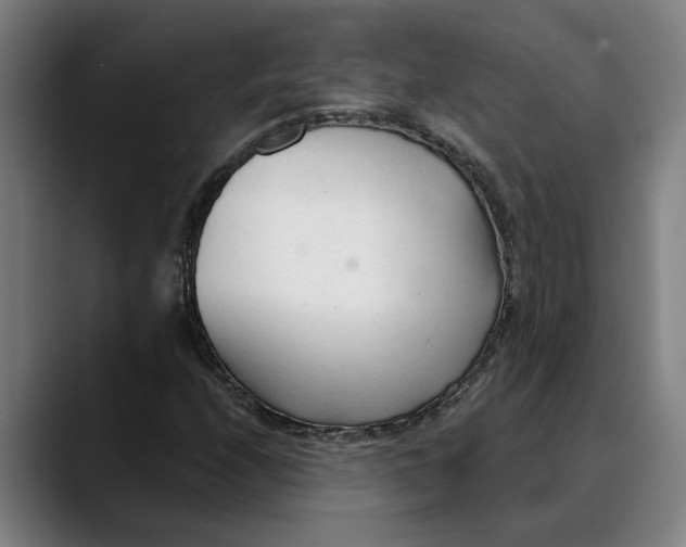 X0000089341208200707131505