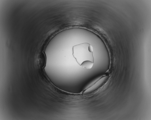 X0000089341210200707131505